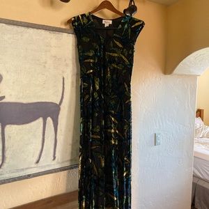 Burn out velvet maxi dress.